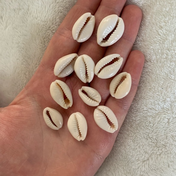 Shell beads - Picture 5 of 5